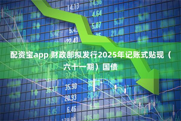 配资宝app 财政部拟发行2025年记账式贴现（六十一期）国债
