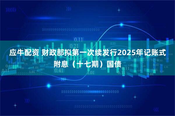 应牛配资 财政部拟第一次续发行2025年记账式附息（十七期）国债