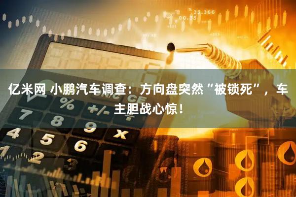 亿米网 小鹏汽车调查：方向盘突然“被锁死”，车主胆战心惊！